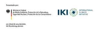 logo IKI